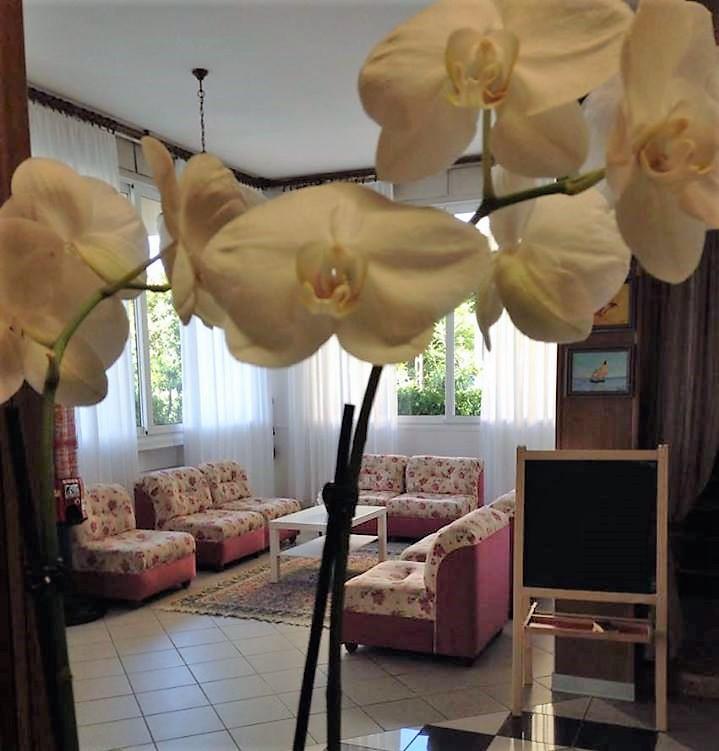 Hotel Primula Lido Di Savio Extérieur photo